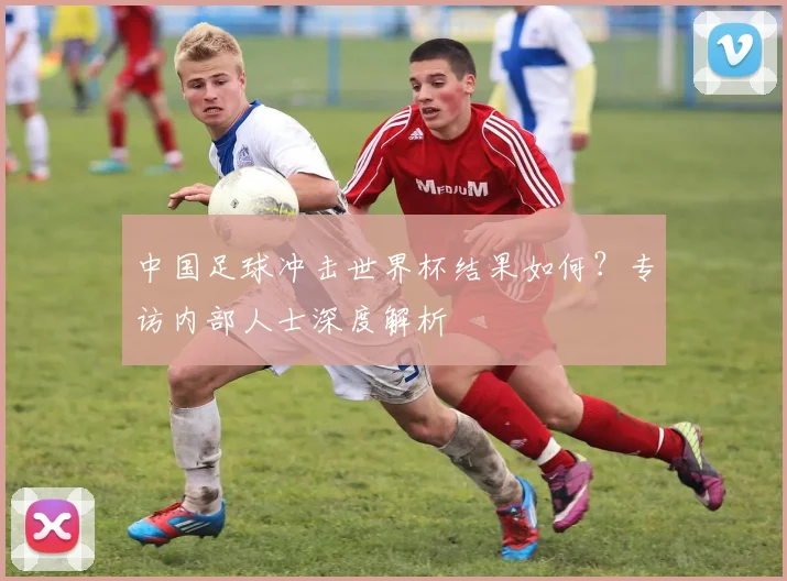 中国足球冲击世界杯结果如何？专访内部人士深度解析
