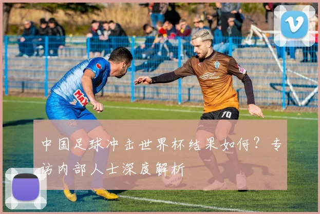 中国足球冲击世界杯结果如何？专访内部人士深度解析