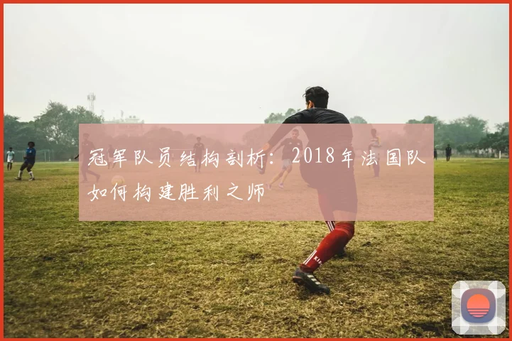 冠军队员结构剖析：2018年法国队如何构建胜利之师