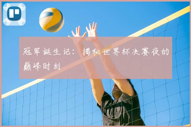 冠军诞生记：揭秘世界杯决赛夜的巅峰时刻