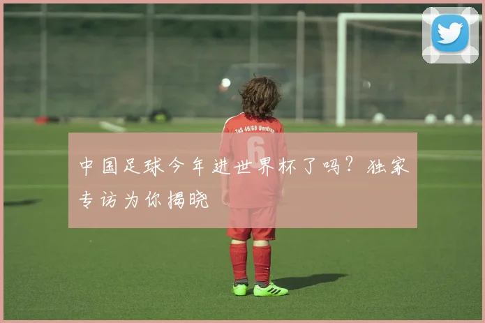 中国足球今年进世界杯了吗?独家专访为你揭晓