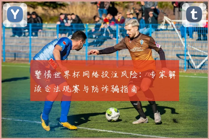 警惕世界杯网络投注风险：专家解读合法观赛与防诈骗指南